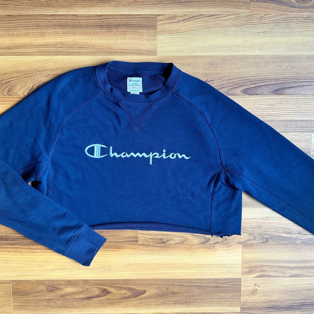 Champion Sweater